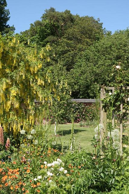 30. Primrose Garden.JPG